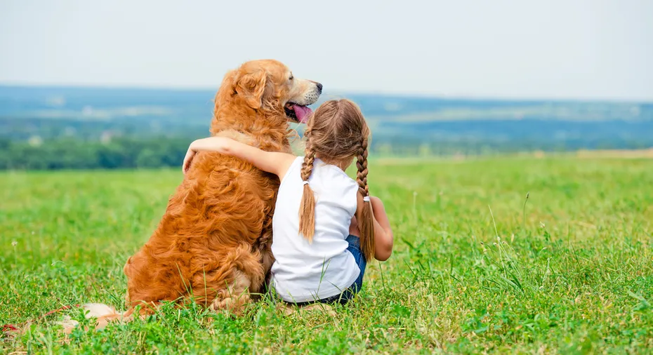 Little girl hugging retriever in the field