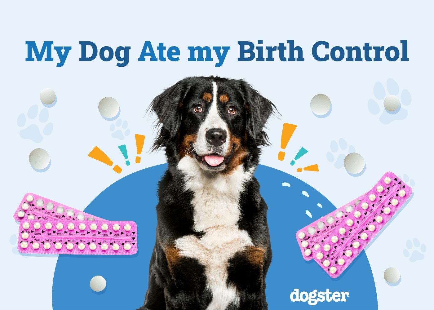 My Dog Ate My Birth Control