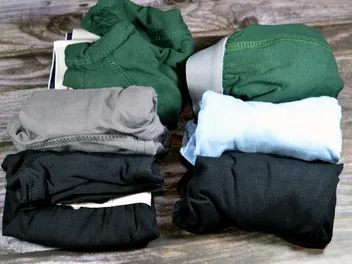 My Dog Swallowed Underwear: Vet Explained Risks, Signs & Next Steps