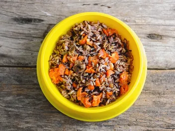 How to Store Homemade Dog Food: 6 Vet-Reviewed Tips