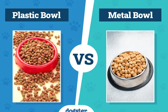 Plastic vs Metal Dog Bowls: Which Is Right for Your Needs?