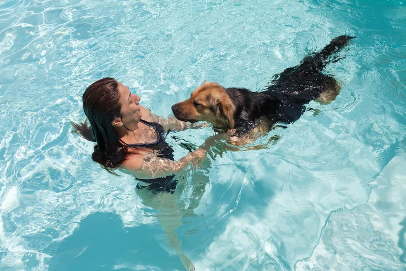 young woman swimming with her dog in the pool