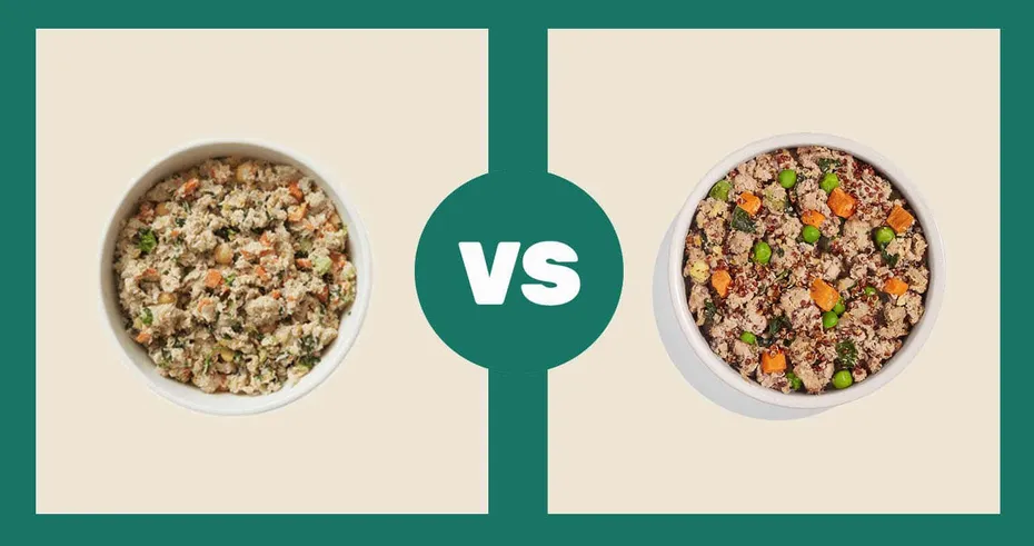 The-Farmers-Dog-Fresh-Food-Turkey-Recipe-vs-Spot-Dog-Food-and-Tango-Turkey-Red-Quinoa-