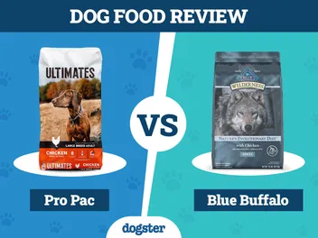 Pro Pac Dog Food vs Blue Buffalo: What to Choose in 2026, Pros & Cons