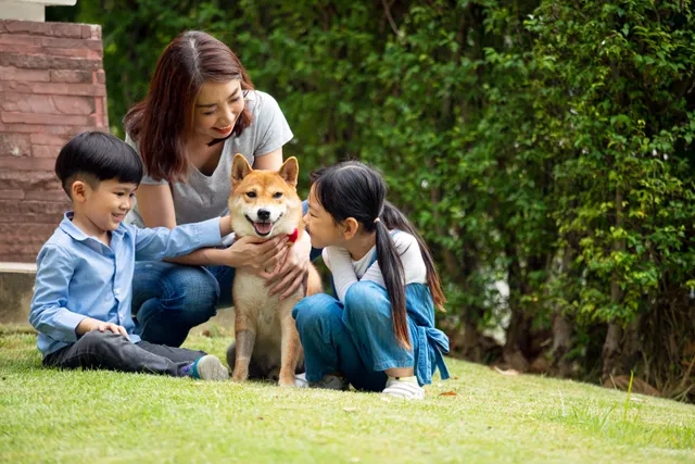 Are Dogs Good for Kids? 7 Vet-Approved Reasons for a Canine Companion