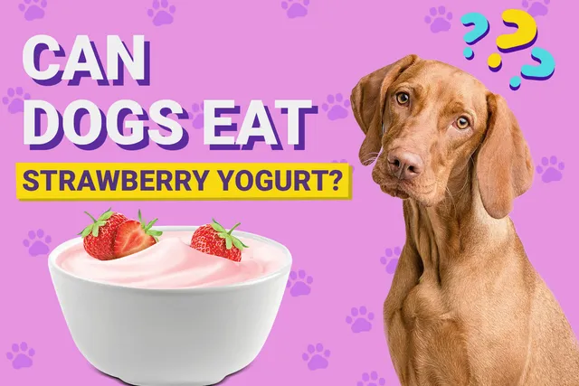 Can Dogs Eat Strawberry Yogurt? Vet-Reviewed Nutrition Advice & Facts