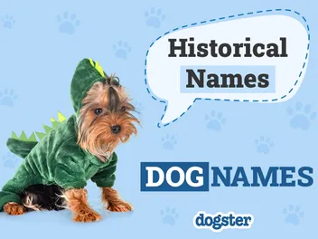 70 Historical Dog Names Inspired by Ancient Figures