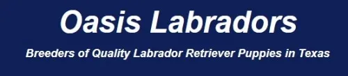 oasis labrador logo