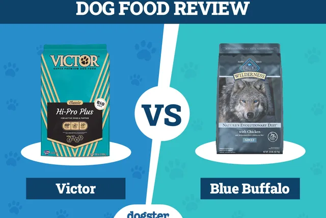 Victor Dog Food vs Blue Buffalo 2026 Comparison: Pros & Cons