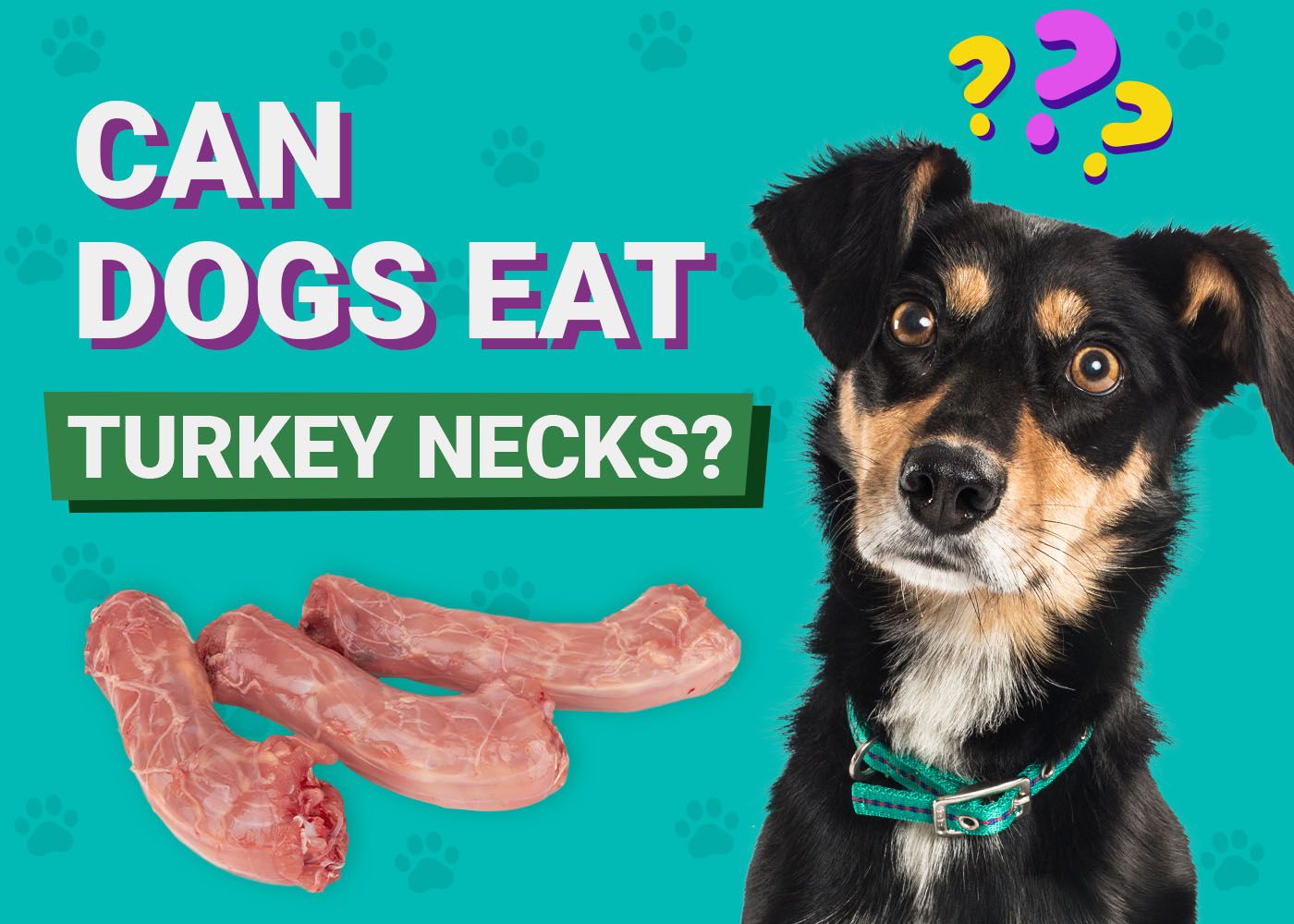 Can Dogs Eat Turkey Necks