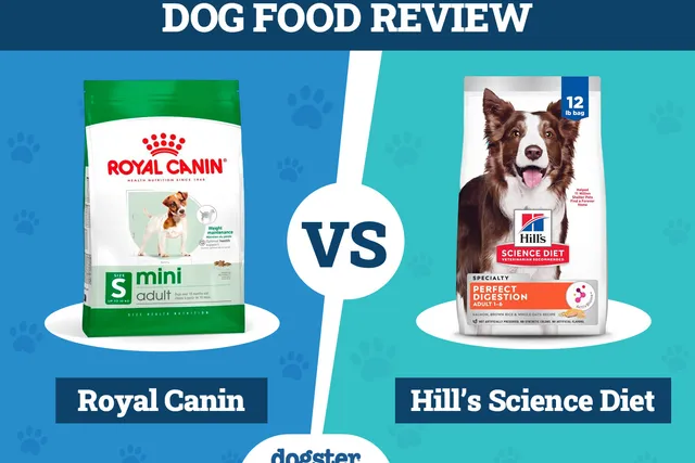 Royal Canin Dog Food vs Hill’s Science Diet: 2026 Comparison, Pros & Cons