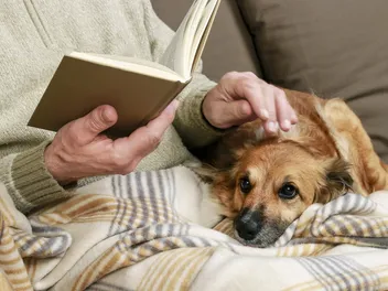 Do Dogs Like to Be Read to? The Answer Might Surprise You
