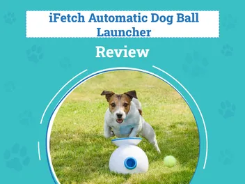 iFetch Automatic Dog Ball Launcher Review 2026: Pros, Cons & Verdict