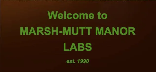 Marsh Mutt Manor Labradors