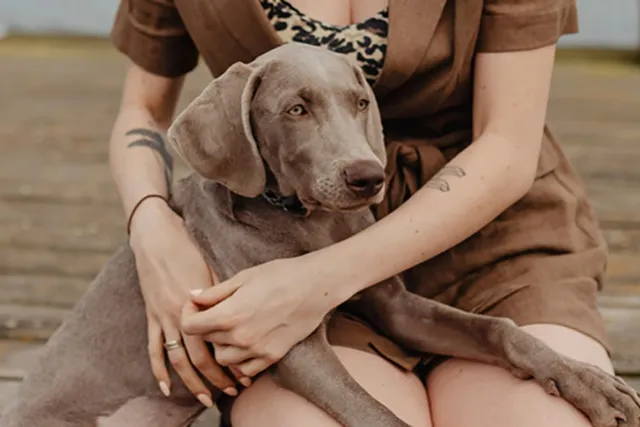 Why Are Dogs So Loyal? Reasons, Downsides & FAQ