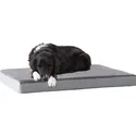 Barkbox Dog Bed Memory Foam