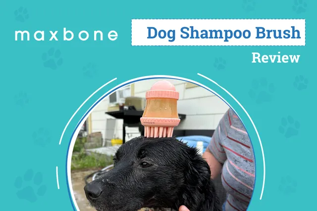 Maxbone Deep Cleanse Shampoo Dispensing Brush Review 2026: An Expert's Breakdown