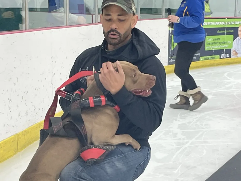 Dog Weight-Pulling – Enrichment or Exploitation 8