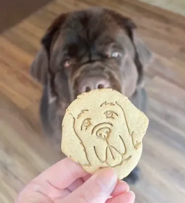 Baked Oatmeal Applesauce Dog Treats
