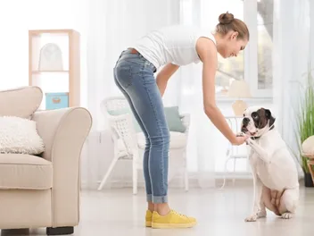 How to Teach a Dog to Come Without Using Treats: 7 Vet Reviewed Tips & Tricks