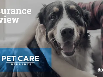 Pet Care Insurance Review 2026: Pros, Cons & Verdict