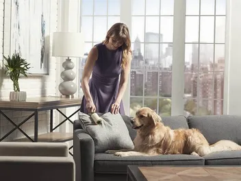 9 Best Dog Hair Removers in 2026 - Reviews & Top Picks