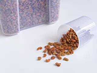 How to Properly Store Dog Food: 14 Vet-Approved Tips