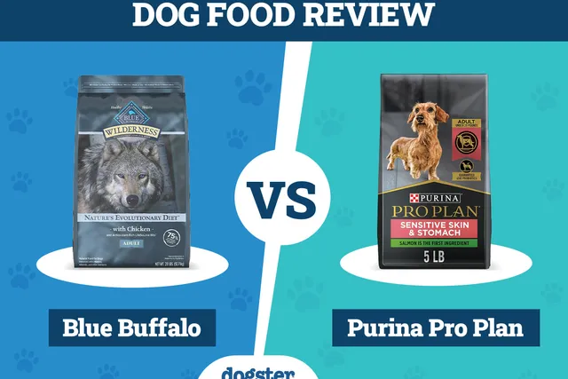 Blue Buffalo vs Purina Pro Plan Dog Food: 2026 Comparison