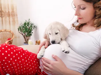 Getting a Puppy While Pregnant: Pros, Cons & Vet-Approved Tips