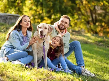 Are Dogs Allowed in Disney World? (Updated in 2026)