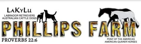 Lakylu labrador logo