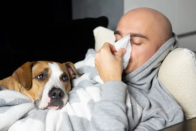 Do Dogs Know When You’re Sick? The Interesting Answer!