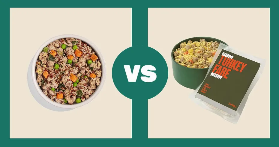 Spot-Tango-Turkey-Quinoa-vs.-Nom-Nom-Turkey-Fare-Fresh-Dog-Food-1