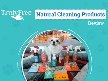 Truly Free Cleaning Products Review 2026: An Expert Breakdown