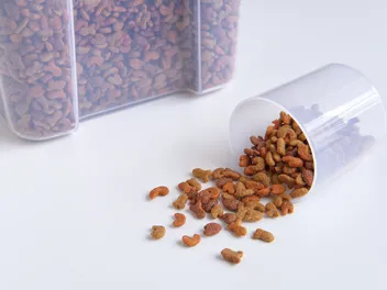 How to Properly Store Dog Food: 14 Vet-Approved Tips