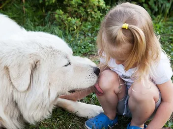 Why Do Dogs Lick Your Wounds? Vet Verified Reasons & Risks