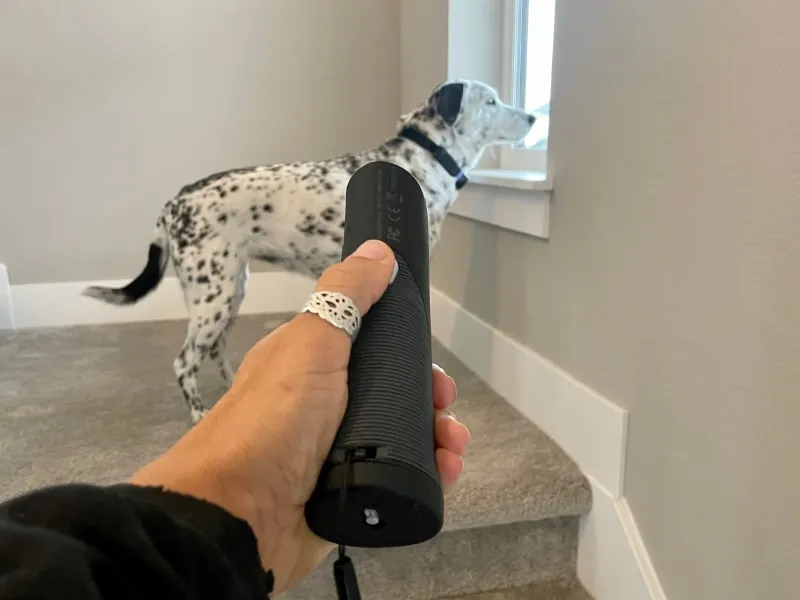 Ultimate Bark Control OnGuard - using the product on ragz