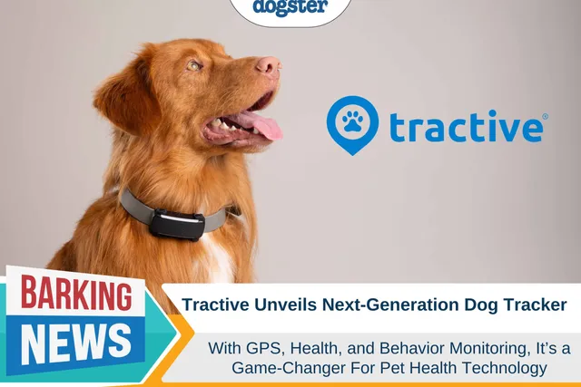 Tractive Unveils Next-Generation Dog Tracker with Health and Behavior Monitoring