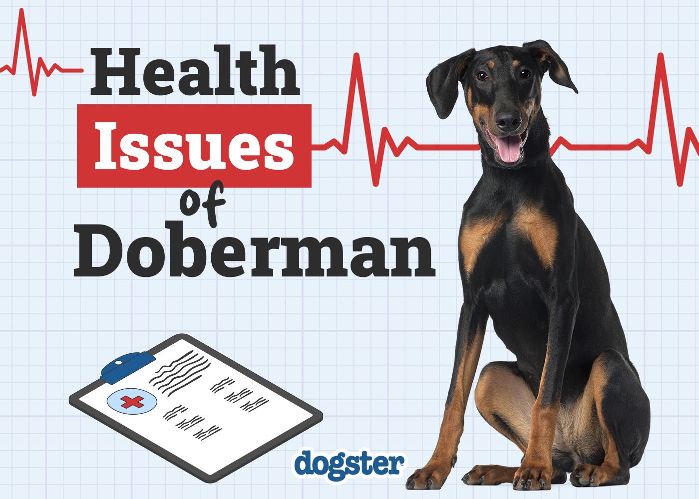 Dogster_Health Problems of Dobermans
