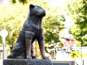 10 Famous Dog Statues From Around the World (2026 Update)