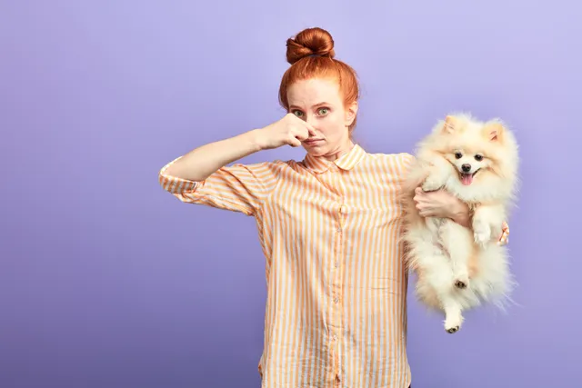 Why Does My Dog Smell Like Fish? 4 Vet-Verified Causes