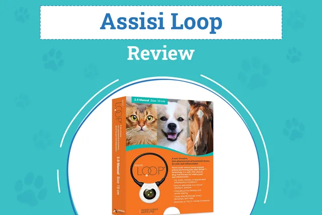 Assisi Loop for Dogs Review (2026): Pros, Cons, & Verdict