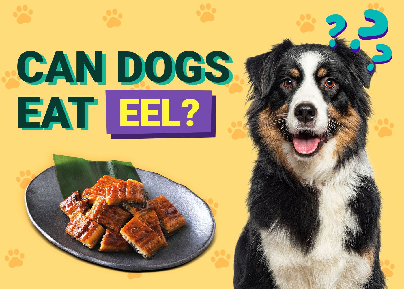 Can Dogs Eat Eel