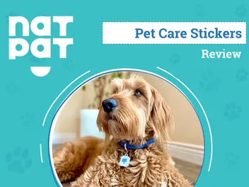 NATPAT Pet Patches Review 2026: An Expert’s Breakdown