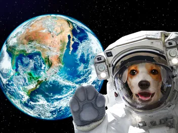 Soviet Space Dogs: The Story of the First Dogs in Space