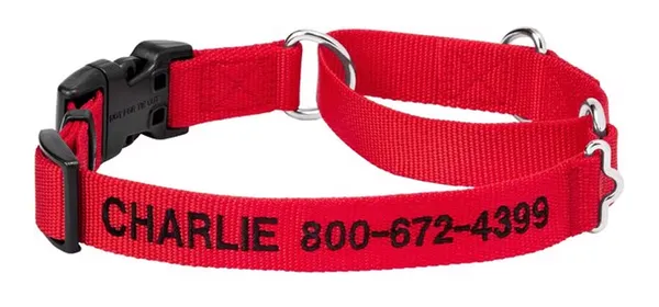 Frisco Personalized Martingale Collar