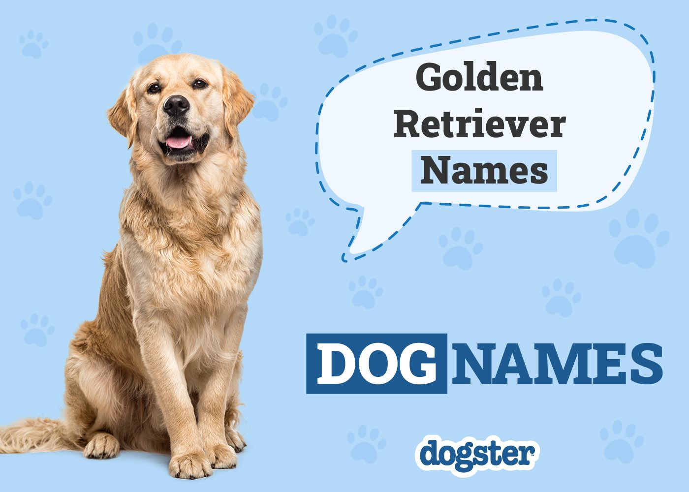 Dogster_Golden Retriever Names