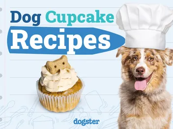 7 Dog Cupcake Recipes You Can Make At Home Today