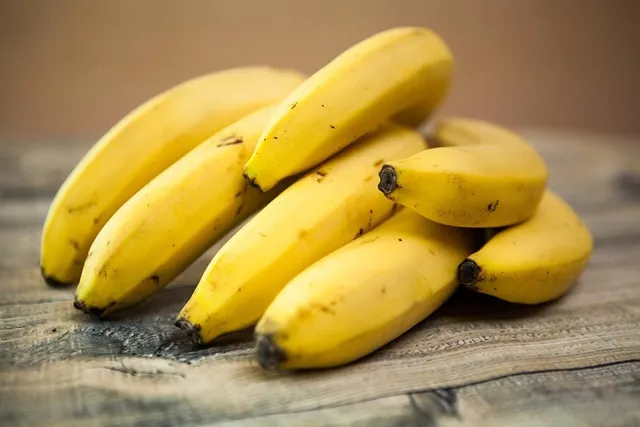 Are Bananas Good for a Dog With Pancreatitis? Vet Approved Facts & FAQ