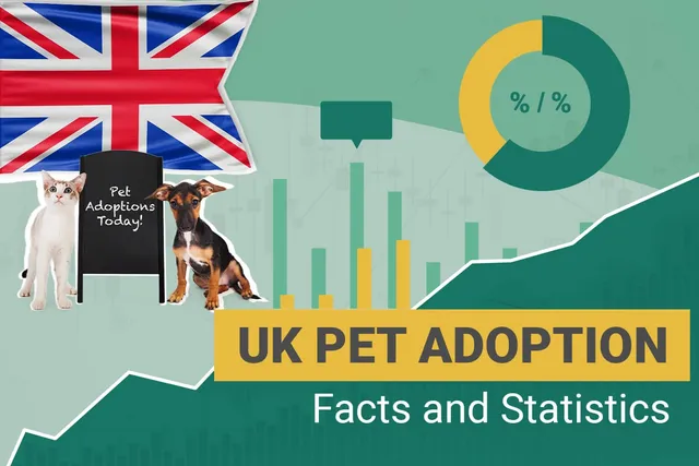 16 Pet Adoption Statistics in the UK (Updated in 2026)